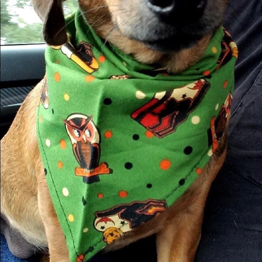 Halloween Neckerchief